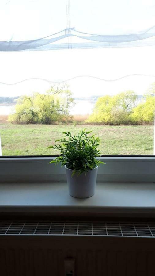 Ferienwohnung Mit Seeblick Brandenburg  Ngoại thất bức ảnh